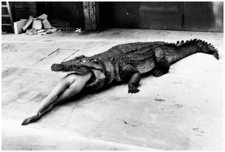 cROCODILe - pHOTOGRAPHEr: hELMUt nEWTOn